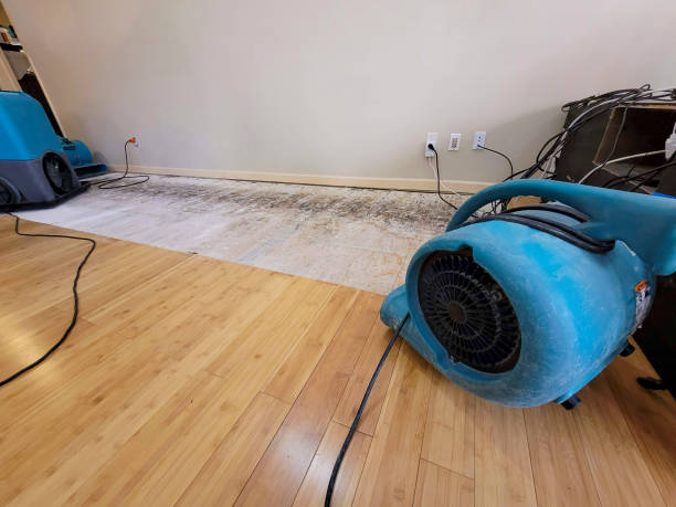 Professional Basement Flood Cleanup technician working in Buckholts, TX
